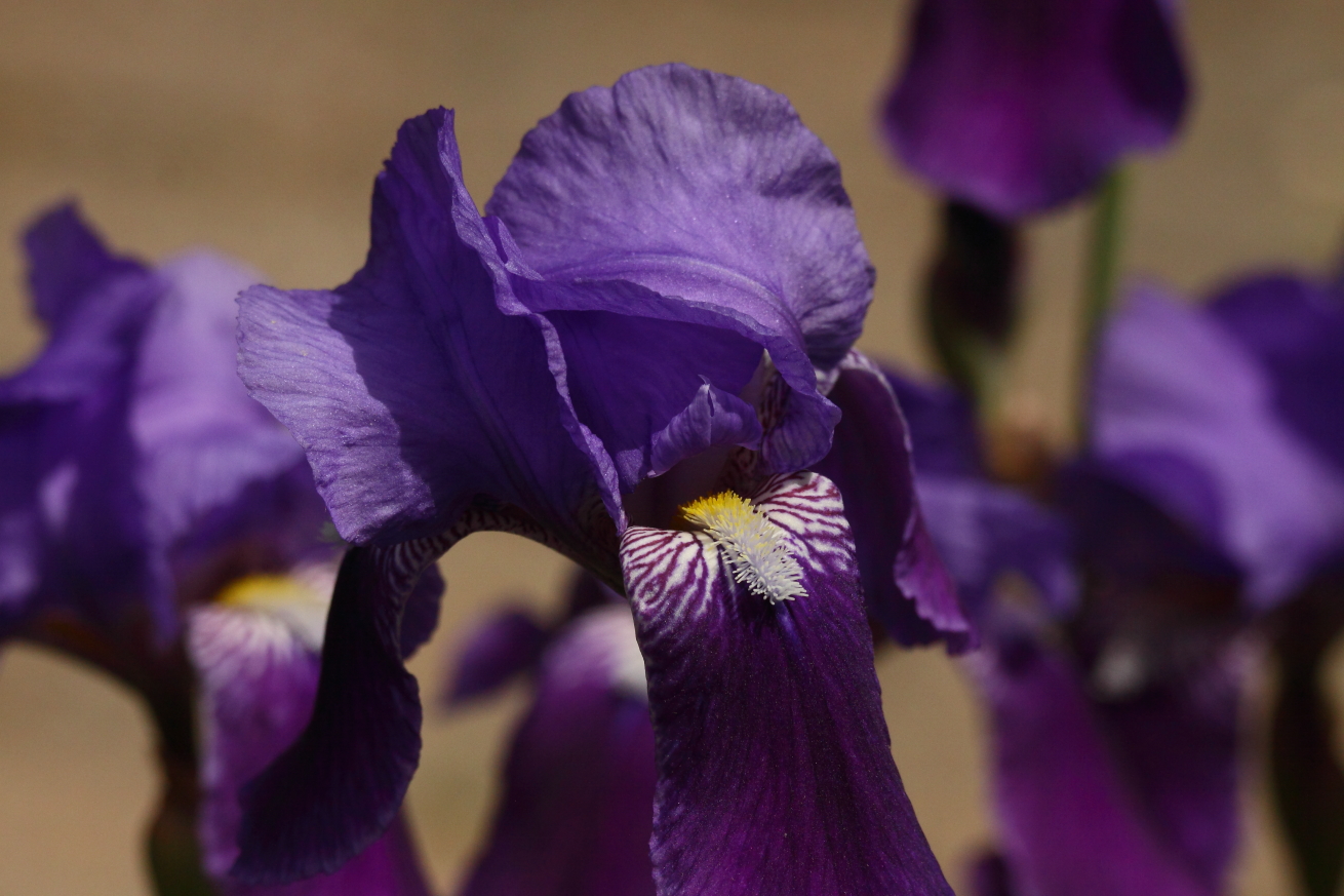 2015 05 15 HTP 000054408
